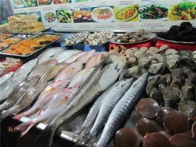 水產(chǎn)魚(yú)類市場(chǎng)全景 價(jià)格、行情、展會(huì)與供應(yīng)鏈解析